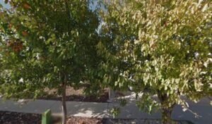Mildura