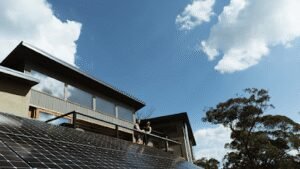 Emu Plains