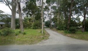 Bunyip