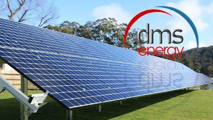 DMS Energy